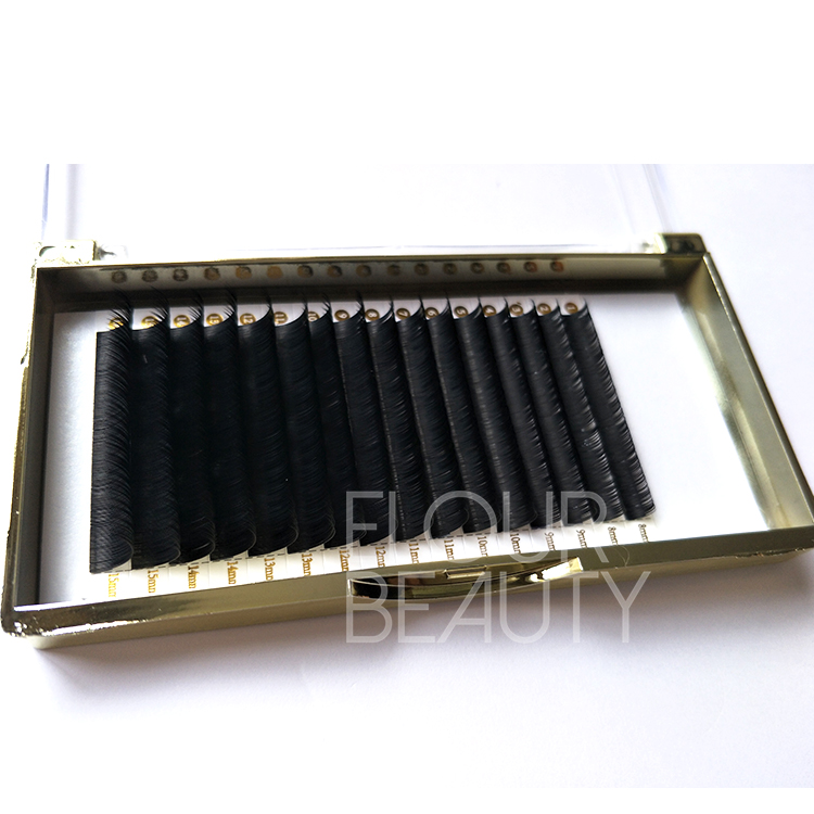Best silk mink eyelash extensions individual lashes wholesale ED79